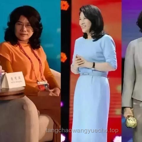 董明珠直播风波背后的企业管理与网红经济碰撞